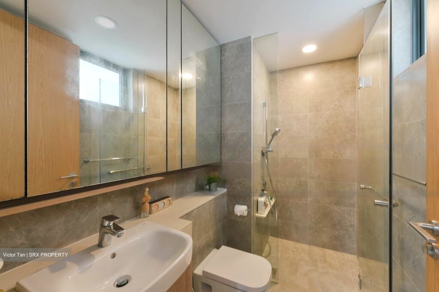 Twin Vew (D5), Apartment #455046461